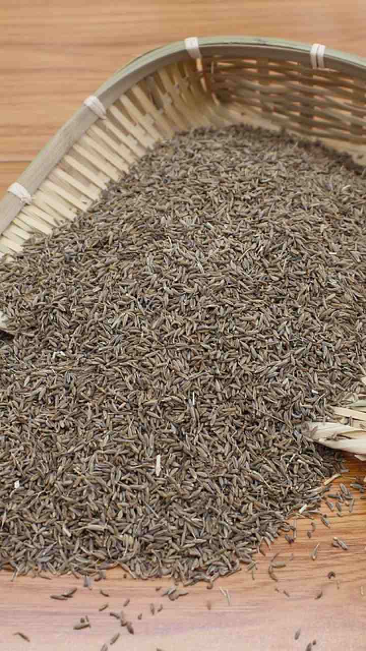 சீரக தண்ணீரில் இருக்கும் நன்மைகள் இதோ...