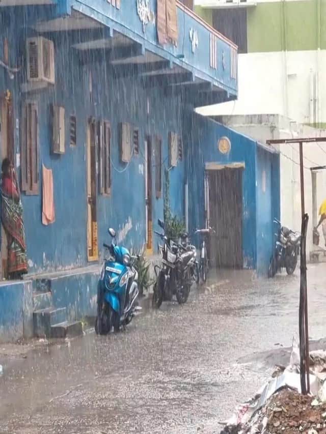 மயிலாடுதுறை - 85.59 செ.மீ