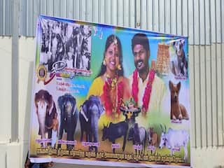 யானை, ஜல்லிக்கட்டு, காளை, நாய் - மதுரையை கலக்கிய கல்யாண போஸ்டர்..!