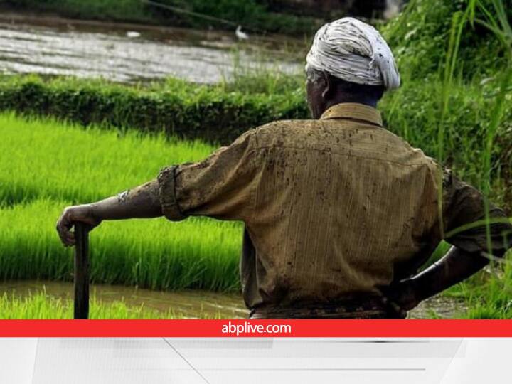 PM Kisan Samman nidhi Yojana Beneficiary List 2023 issued or PM Kisan Yojana Status Check Direct Link PM Kisan Yojana: सरकार का बड़ा ऐलान! इन किसानों को नहीं मिलेगी 13वीं किस्त, यहां देख लें कहीं लिस्ट में आपका नाम तो नहीं है?