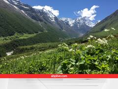 विलुप्त होने की कगार पर हिमालय की ये संजीवनी बूटियां, IUCN ने किया रेड लिस्ट में शामिल