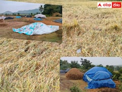శ్రీకాకుళం జిల్లాలో వర్షాలకు తడిచిన ధాన్యం- గిట్టుబాటు ధర వస్తుందో రాదో అన్న టెన్షన్‌లో రైతులు
