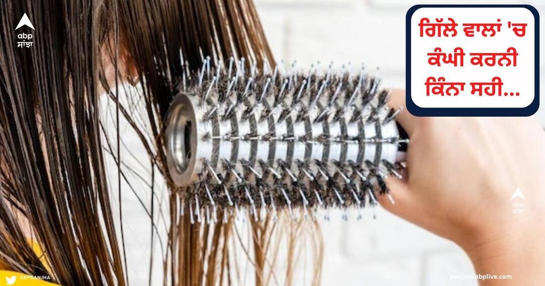 Wet Hair and Comb : Should comb wet hair or not? Know the right way and time Wet Hair and Comb :  ਕੀ ਗਿੱਲੇ ਵਾਲਾਂ ਵਿੱਚ ਕੰਘੀ ਕਰਨੀ ਚਾਹੀਦੀ ਹੈ ਜਾਂ ਨਹੀਂ? ਜਾਣੋ ਸਹੀ ਤਰੀਕਾ ਅਤੇ ਸਮਾਂ