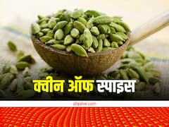 क्या आप जानते हैं मसालों की रानी का नाम? हमारे देश में सिर चढ़कर बोलता है 'स्पाइस क्वीन' का जादू