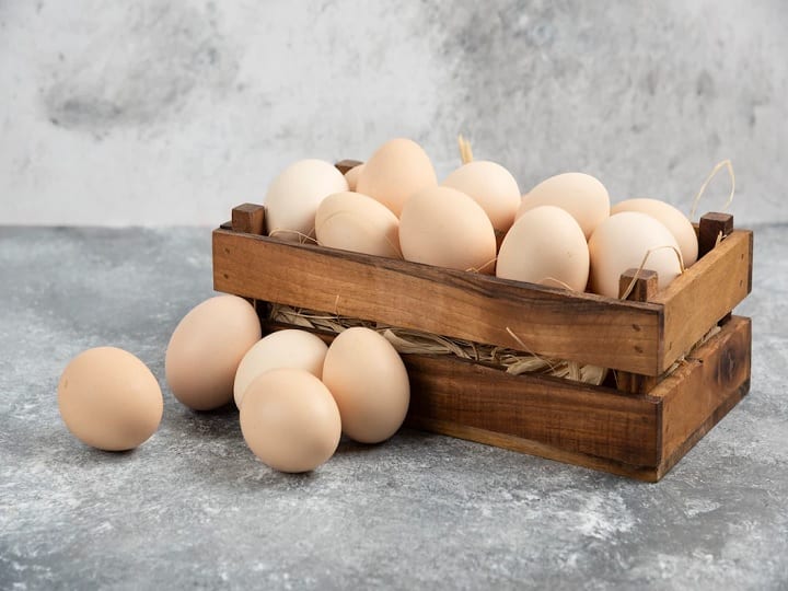 Egg Price Today 12 December 2022 know latest price of egg in Delhi Mumbai Lucknow Noida Gurugram Egg Price Today: क्या सोमवार को बढ़े अंडे के प्राइस? जानें दिल्ली समेत बाकी शहरों का लेटेस्ट भाव