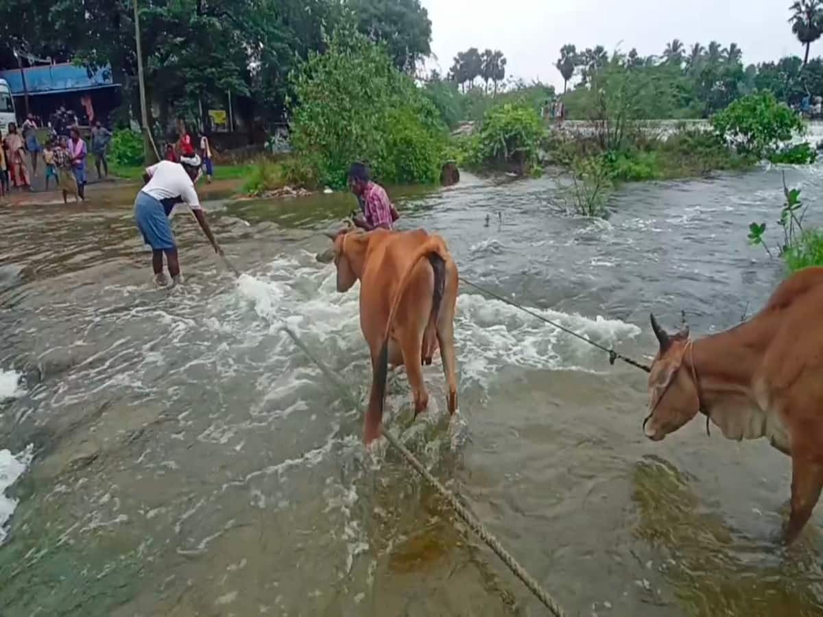 செய்யாறில் நீரில் மூழ்கிய தரைப்பாலம்.. கயிறு மூலம் கரையை கடக்கும் மக்கள்..!