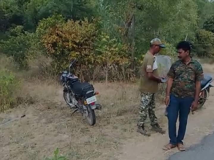 Young Man Hit With Tiger His Bike in Kumuram Bheem Asifabad District Tiger Wandering in Asifabad: బైకుతో పులిని ఢీకొట్టి ప్రాణాలతో బయటపడ్డ యువకుడు!