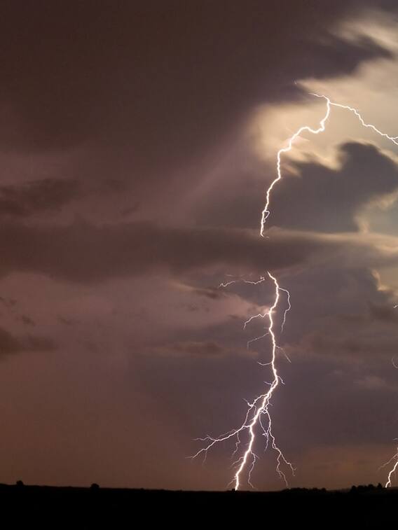 தமிழ்நாட்டில் வானிலை நிலவரம்...