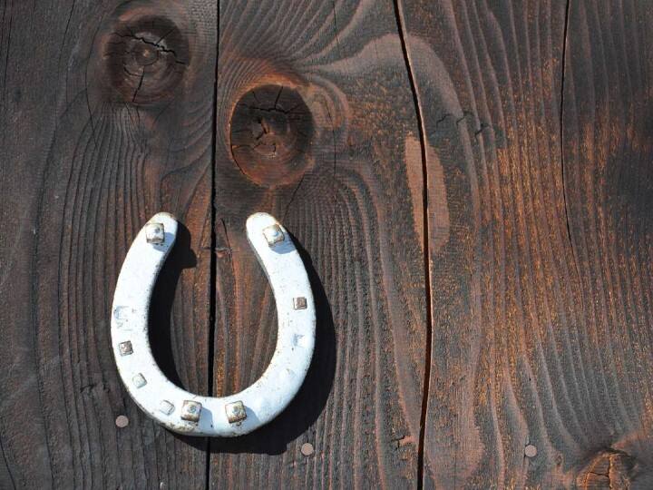 घर की मुख्य दहलीज पर घोड़े की नाल टांगने से क्लेश खत्म हो जाते हैं. शनि देव की कृपा बनी रहती है. साथ ही ये घर और परिवार को बुरी शक्ति से बचाती है.