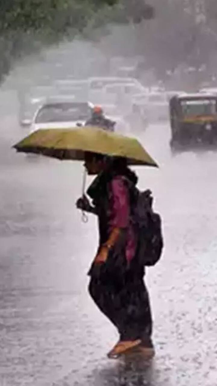 சென்னை: ஒருசில இடங்களில், லேசானது / மிதமான மழை  பெய்யக்கூடும்.