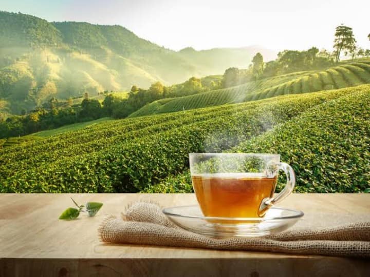बेजोड़ हैं भारत में उगने वाली इन 4 चाय का स्वाद, विदेशी भी करते हैं पसंद