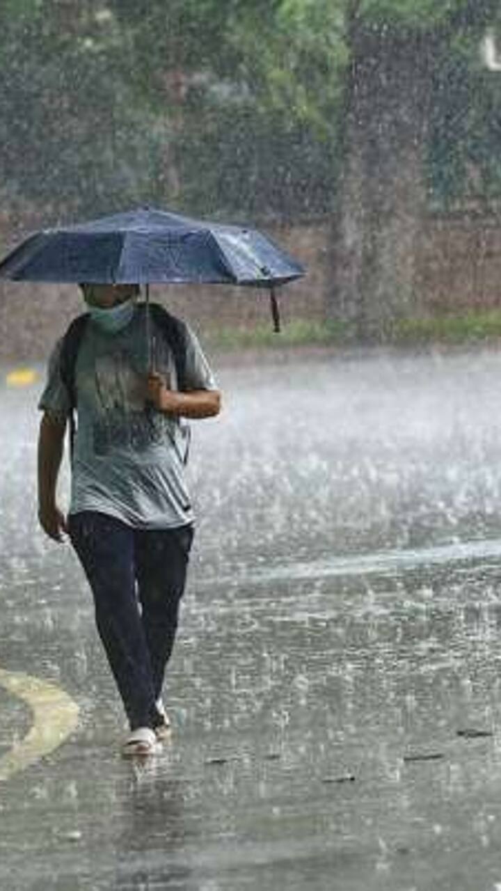 according to Meteorological Department rains may be falls in these district Gujarat Weather Update: જાફરાબાદ બંદર પર  1 નંબરનું સિગ્નલ, જાણો ક્યાં વિસ્તારમાં હજુ પડી શકે છે વરસાદ