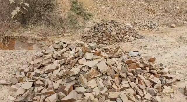 छत्तीसगढ़ के सरगुजा जिले में खनिज विभाग और अनुविभागीय अधिकारियों की अनदेखी की वजह से खनिज माफियाओं द्वारा लगातार अवैध उत्खनन कर खनिज संपदा को नुकसान पहुंचाया जा रहा है.