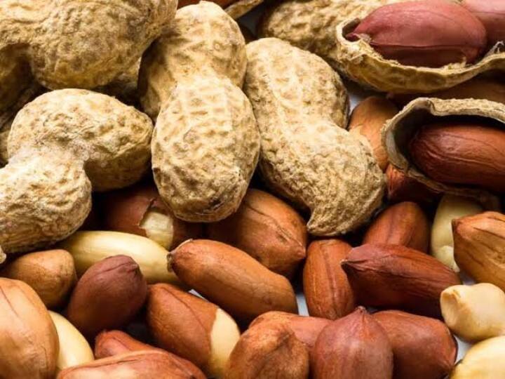 Peanut is a storehouse of many nutrients know its health benefits Benefits Of Peanuts: मूंगफली में छिपा है सेहत का खजाना, विंटर डाइट में करेंगे शामिल तो बीमारियों से नहीं पड़ेगा घबराना