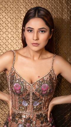 ਸ਼ਹਿਨਾਜ਼ ਗਿੱਲ ਨੇ ਆਪਣੇ ਪ੍ਰਸ਼ੰਸਕਾਂ ਲਈ ਕੀਤਾ ਅਜਿਹਾ ਕੰਮ, ਵੀਡੀਓ ਦੇਖ ਕੇ ਹੋ ਜਾਵੋਗੇ ਹੈਰਾਨ