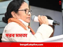 'সিবিআই এত স্মার্ট হলে কীভাবে ঘটল এধরনের ঘটনা?', লালন-মৃত্যুতে সরব মমতা