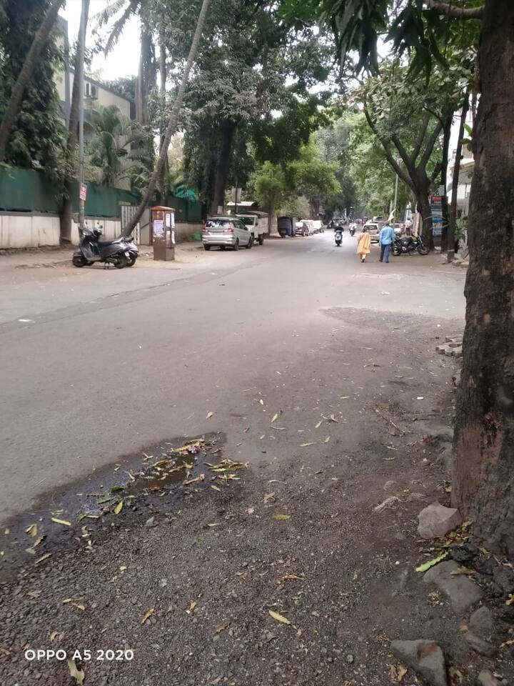 कायम ट्राफिक असलेल्या या रस्त्यावर बंदमुळे शुकशुकाट दिसून येतोय.