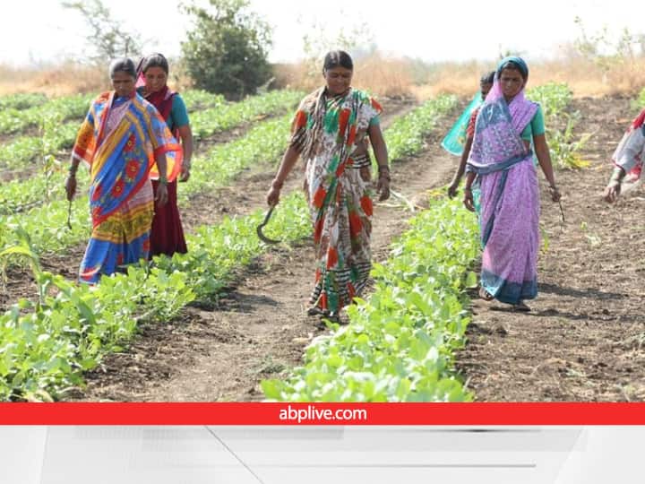 Women farmers are becoming self reliant by taking training in modern farming and new techniques under Atma scheme ATMA Scheme: क्या है ये स्कीम, जिसके जरिए महिलाएं गांव में रहकर ही कमा सकती हैं अच्छा पैसा