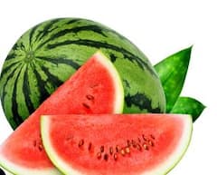 कलिंगड लागवडीतून मिळवा लाखोंचा नफा