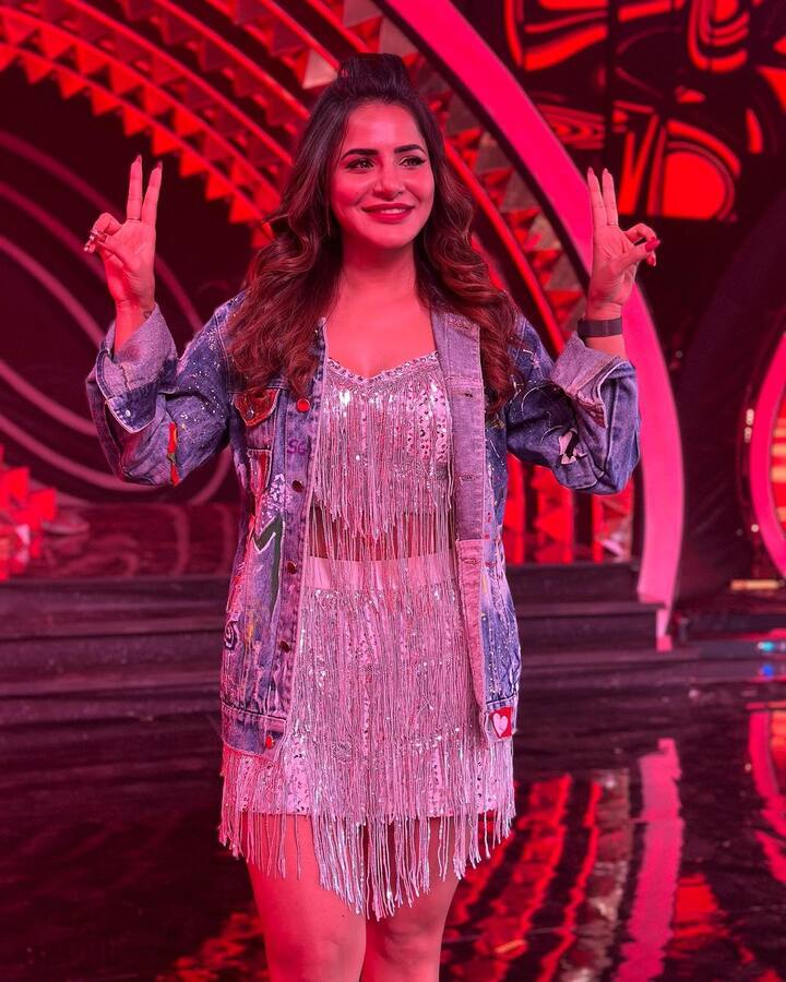 పలు టీవీ ప్రోగ్రాం లలోనూ చేసింది.
