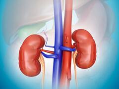 दो लाख में किडनी बेचने निकली थी 16 लाख लुटवा बैठी!