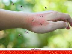 Zika virus: युगांडा में पनपा और भारत पहुंच गया, जानिए क्या है जीका वायरस, इसके लक्षण और बचाव 