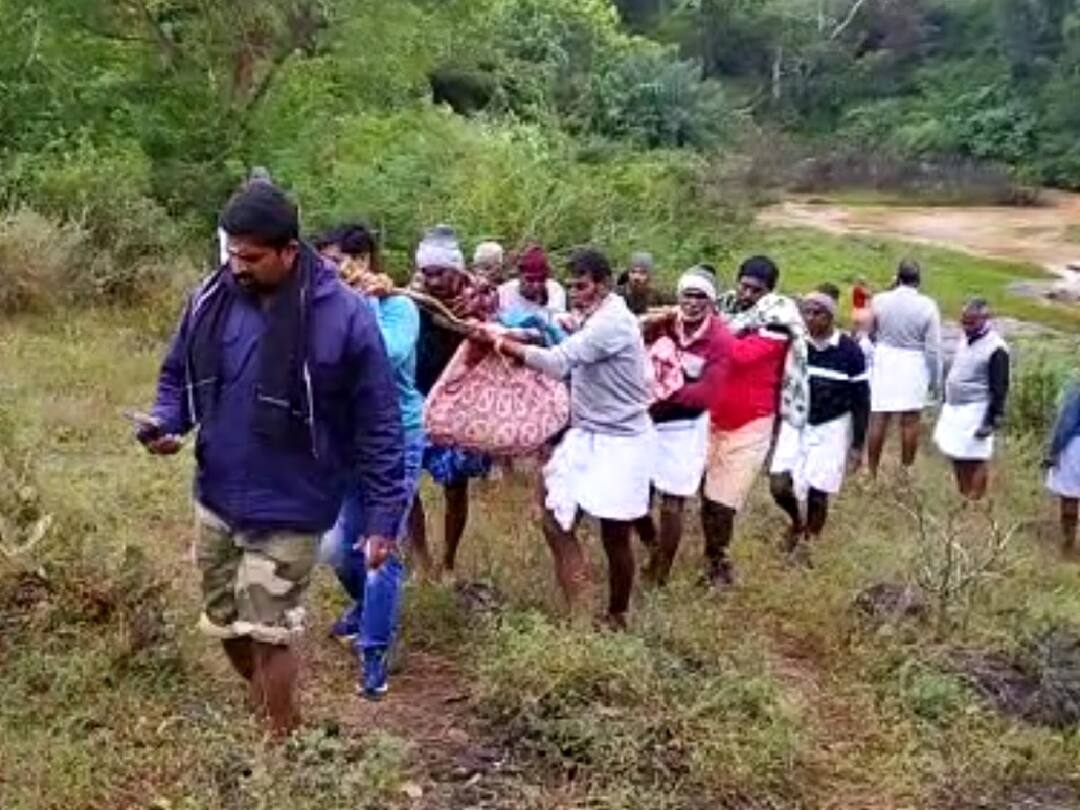 உதகை அருகே காட்டாற்று வெள்ளத்தில் அடித்துச் செல்லப்பட்ட 3 பேர் சடலமாக மீட்பு 3 people who were washed away by wild floods were recovered as dead bodies in Nilgiris TNN உதகை அருகே காட்டாற்று வெள்ளத்தில் அடித்துச் செல்லப்பட்ட 3 பேர் சடலமாக மீட்பு