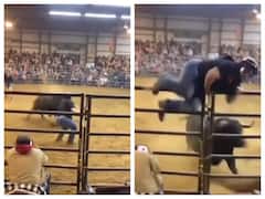 திருமண பந்தலுக்குள் புகுந்த காளை மாடு.. பரபர சம்பவங்கள்.. வைரலாகும் வீடியோ