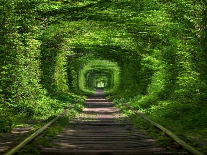 travel and tourism love and romantic tourist places tunnel of love in Ukraine ट्रैवल लवर हैं तो ​बताइए कहां मौजूद है ‘Tunnel of Love’, ये खूबसूरत डेस्टिनेशन सबको बना देती है अपना दीवाना, देखें तस्वीरें