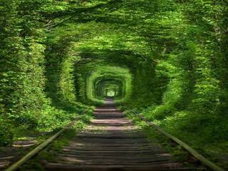 ट्रैवल लवर हैं तो ​बताइए कहां मौजूद है ‘Tunnel of Love’, ये खूबसूरत डेस्टिनेशन सबको बना देती है अपना दीवाना, देखें तस्वीरें