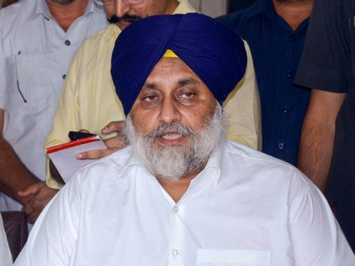 Sukhbir Singh Badal says wrong to call the work of transport as mafia ANN Punjab: 'ट्रांसपोर्ट के काम को माफिया कहना गलत', मंत्री के बयान पर सुखबीर सिंह बादल का पलटवार