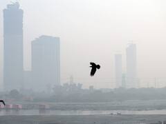 पंजाब और हरियाणा में धीरे-धीरे बढ़ रहा है सर्दी का सितम, 25 दिसंबर के बाद शीतलहर के आसार