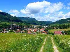 Viral News: ਕਈ ਸਾਲਾਂ ਤੋਂ ਪਿੰਡ 'ਚ ਆ ਰਹੀ ਹੈ 'ਰਹੱਸਮਈ' ਆਵਾਜ਼! ਕਈ ਵਾਰ ਜਾਨਣ ਦੀ ਕੋਸ਼ਿਸ਼ ਕੀਤੀ ਪਰ ਹਰ ਵਾਰ ਵਿਅਰਥ ਹੀ ਗਿਆ...