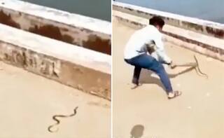Viral Video: ਸੱਪ ਨੂੰ ਛੇੜ ਰਿਹਾ ਸੀ ਵਿਅਕਤੀ, ਪਰ ਫਿਰ ਉਲਟ ਪੈ ਗਈ ਬਾਜ਼ੀ