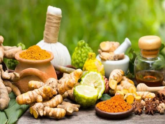 Herbs To Control Cholesterol: मुसीबत बन रहा है बढ़ा हुआ कोलेस्ट्रॉल, तो यह 5 नेचुरल हर्ब्स करेंगे लेवल को कंट्रोल Herbs To Control Cholesterol: मुसीबत बन रहा है बढ़ा हुआ कोलेस्ट्रॉल, तो यह 5 नेचुरल हर्ब्स करेंगे लेवल को कंट्रोल