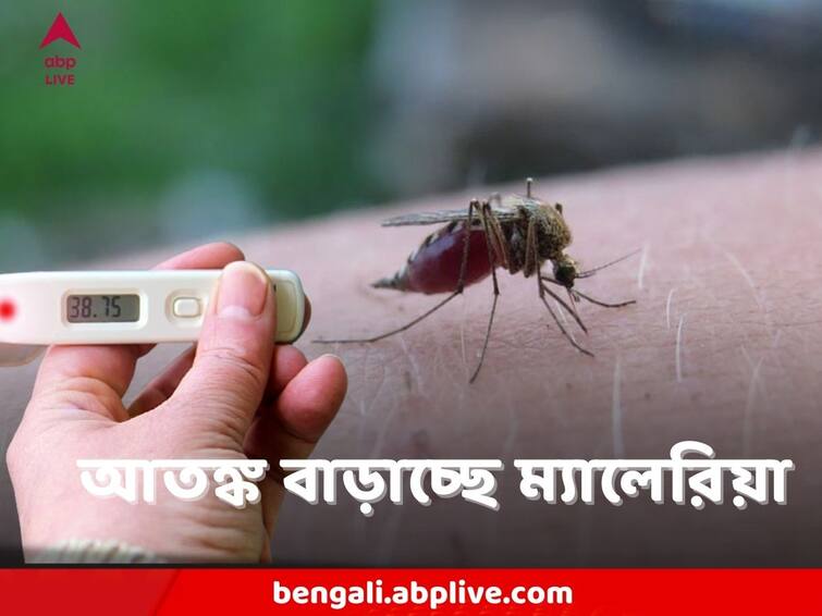 Malaria : ম্যালেরিয়া আক্রান্তের সংখ্যায় দেশের মধ্যে শীর্ষে পশ্চিমবঙ্গ, সামনে এল আরও আতঙ্কের খবর