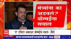 DCM Devendra Fadnavis : उपमुख्यमंत्री देवेंद्र फडणवीस यांनी सीमावादावरुन काय म्हणाले?
