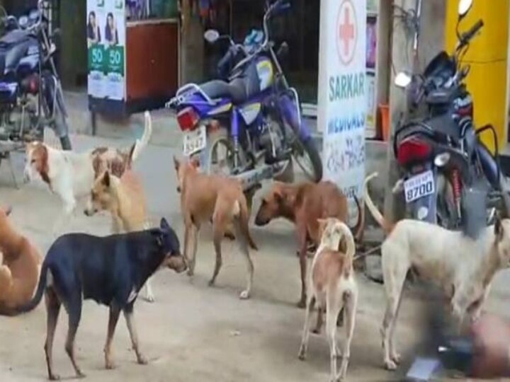 Rabies: நாயை போல மாறிய 8 வயது சிறுவன்..! உயிருக்கு ஆபத்தான நிலையில் மருத்துவமனையில் அனுமதி..! நடந்தது என்ன..?