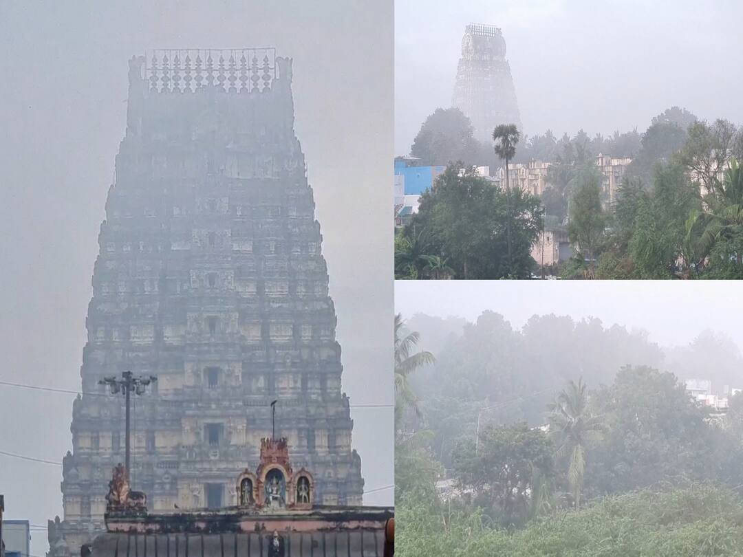 Kanchipuram : காஞ்சிபுரம்: பனிமூட்டத்தினால் மலை பிரதேசங்கள் போன்று காட்சியளிக்கும் காட்சி.. வைரலாகும் படங்கள்..