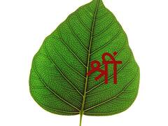 Paush Amavasya 2022: पौष अमावस्या पर मां लक्ष्मी को खुश करने का बन रहा है संयोग, इन कामों से खुल जाएंगे धन के द्वार