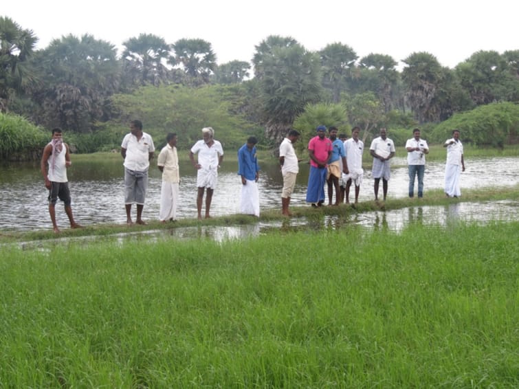 Nagapattinam : மாண்டஸ் புயல் காரணமாக விளைநிலங்களுக்குள் புகுந்த கடல்நீர்; விவசாயிகள் வேதனை! nagapattinam farm field submerged into water mandous cyclone Nagapattinam : மாண்டஸ் புயல் காரணமாக விளைநிலங்களுக்குள் புகுந்த கடல்நீர்; விவசாயிகள் வேதனை!