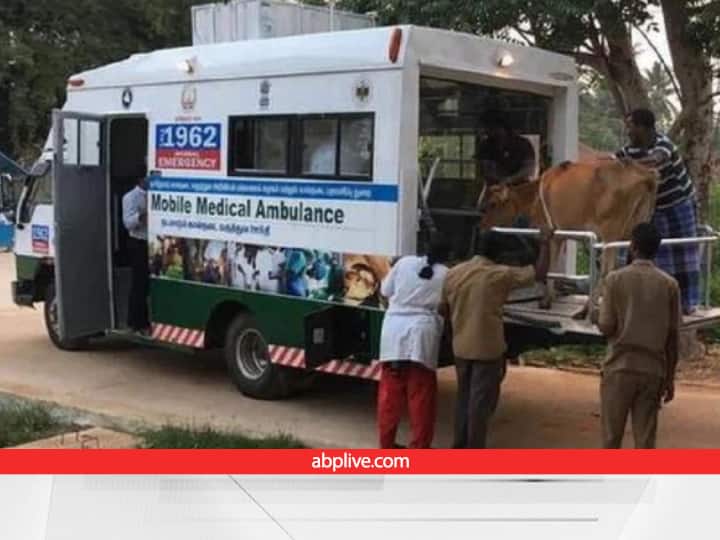 Haryana Will Get 70 Animal Ambulance With The Help Of Central Govt Provide  Veterinary Doctor With Ambulance | अगर घर में पालते हैं गाय-भैंस तो आपके  लिए आपके लिए है अच्छी खबर,