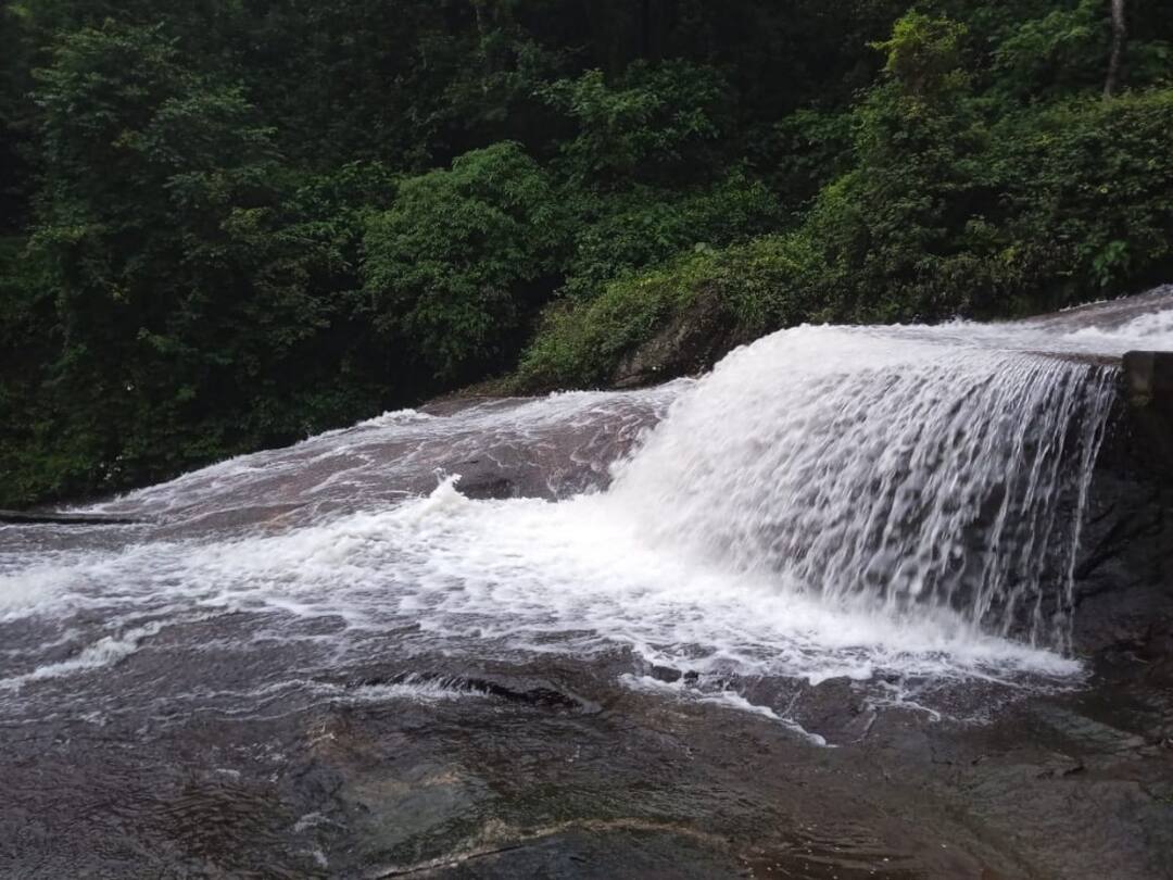 கனமழை எதிரொலி: கோவை குற்றாலம் மூடல், உதகை மலை ரயில் ரத்து