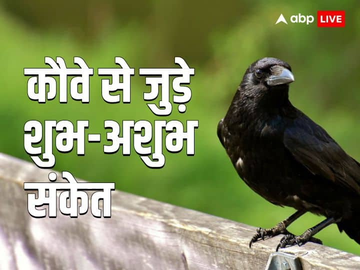 shakun apshakun do not ignore these unlucky signs related to crows it is considered bad omen Shakun Apshakun: कौवे से जुड़े इन संकेतों का ना करें नजरअंदाज, माना जाता है अपशकुन