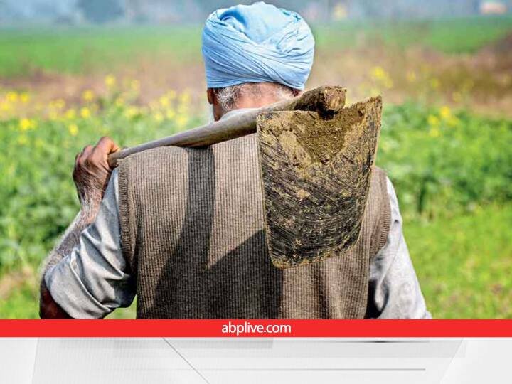 Jammu Kashmir Trend setter farmers of Kashmir grow cash crops Nadru Kiwi with new technology earning huge profits Jammu Kashmir News:कश्मीर के ट्रेंड-सेटर किसानों ने नई तकनीक से उगाई ये नकदी फसलें, कमा रहे हैं मोटा मुनाफा