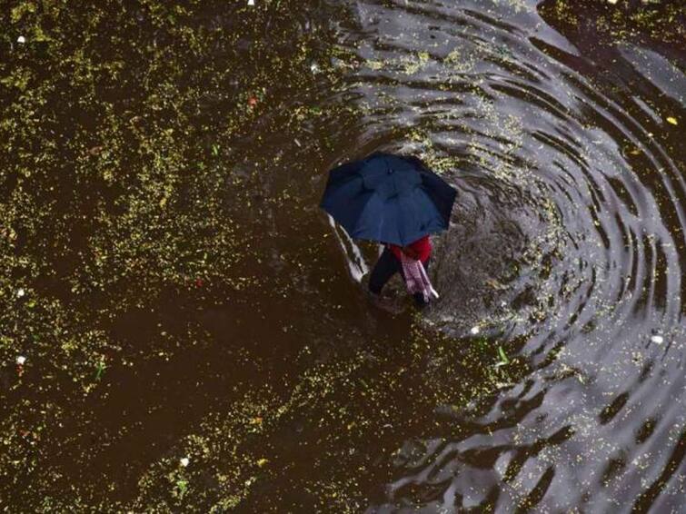 Kosasthalaiyar River Flood Warning Alert People Along Banks of River advised to stay safe Kosasthalaiyar River:கொசஸ்தலை ஆற்றின் கரையோர மக்களுக்கு வெள்ள அபாய எச்சரிக்கை - திருவள்ளூர் கலெக்டர் அறிவிப்பு!