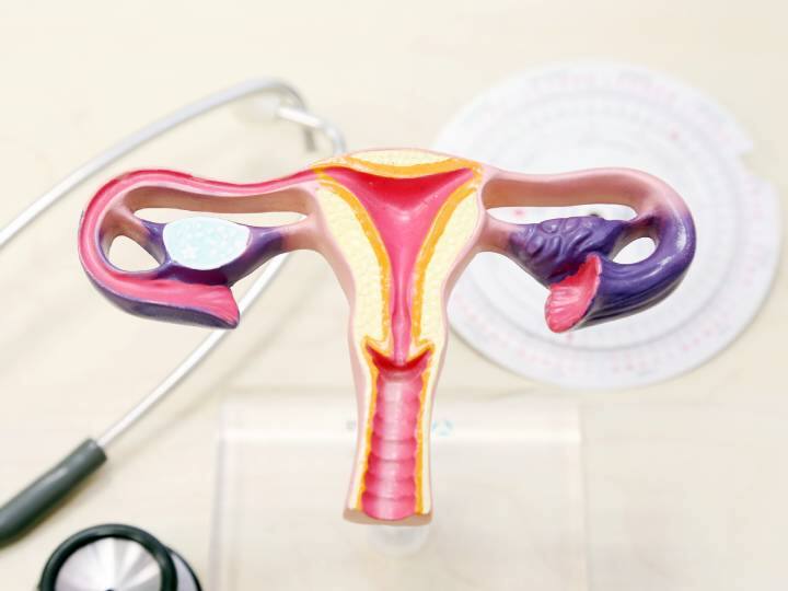 Cervical Cancer की रोकथाम के लिए सरकार शुरू करने जा रही है HPV अभियान, इस उम्र की लड़कियों को दिए जाएंगे वैक्सीन cervical cancer scheduled to become available next year for girls in the age group of 9 to 14 years Cervical Cancer की रोकथाम के लिए सरकार शुरू करने जा रही है HPV अभियान, इस उम्र की लड़कियों को दिए जाएंगे वैक्सीन