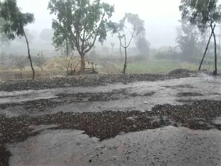 maharashtra News Aurangabad News Heavy rains in many parts of Aurangabad Farmers worries increased Aurangabad Rain News: औरंगाबादच्या अनेक भागात जोरदार पावसाची हजेरी, शेतकऱ्यांची चिंता वाढली