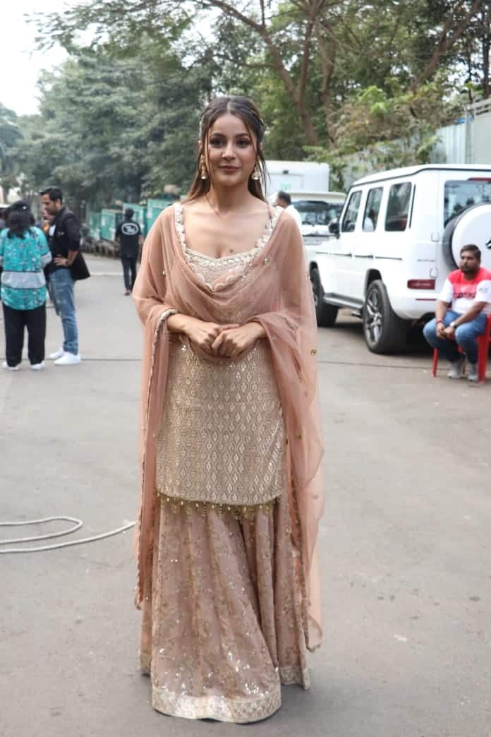 সলমন খানের ছবি 'কিসি কা ভাই কিসি কি জান' ছবি দিয়ে বলিউডে বড় পর্দায় আত্মপ্রকাশ হতে চলেছে তাঁর। সম্প্রতি কেরিয়ারের শুরুর দিনগুলোর স্মৃতিচারণা করলেন তিনি।