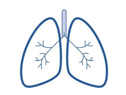10 tips to keep your lungs healthy know the details Health Care : நுரையீரல் ஆரோக்கியம் ரொம்ப முக்கியம் - மருத்துவர்கள் பரிந்துரைக்கும் வழிமுறைகள்!